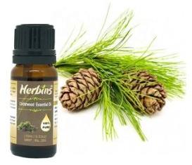 Organic Cedarwood Essential Oil