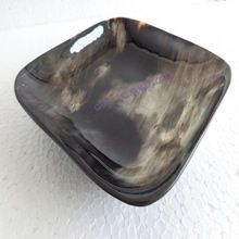 Square Shape Horn Tray