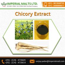 Purity Bulk Chicory Root Extract Powder