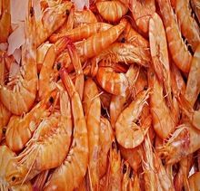 Sun Dried Shrimp Shell