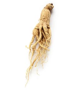 Ginseng