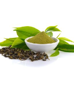 Green Tea Extract