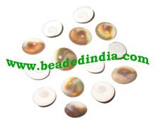 Shiva eye or gomti chakra or gomati shel