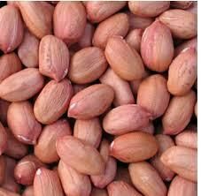 Groundnuts Kernel