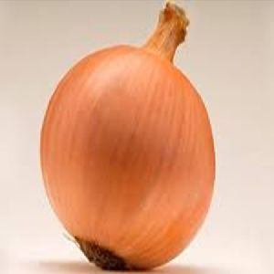 ONION SEEDS MARUTI ROSHANI