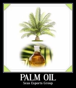 Pure crude palm oil cpo