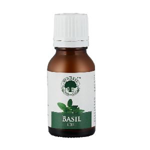 Tree basil essential oil