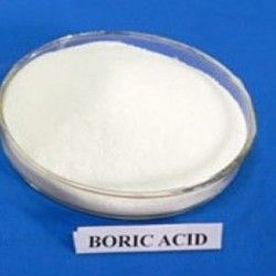 Boric Acid Powder