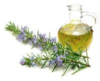 Pure Rosemary Essential oil