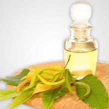 ylang oil