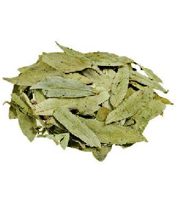 Tribulus Extract