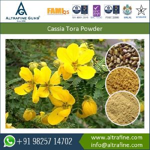 Obovata Cassia Gum Powder