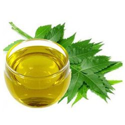 Virgin Neem Oil