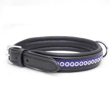 Thick Padded Dog Collar