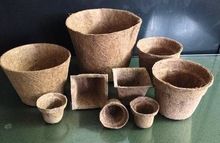 Coir Pots