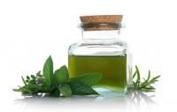 Peppermint Oils