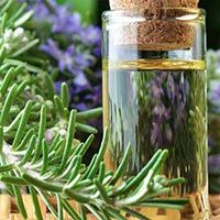 Rosemary Oil