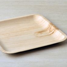 Palm Leaf Plates