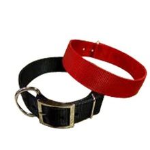 Nylon Dog Collar with lead