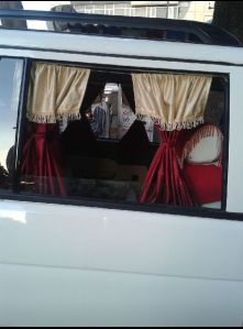 Designer Car Curtains