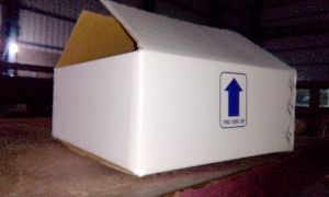 white duplex corrugated box