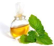 Patchouli Pure Oil