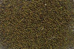 Sesbania Seeds