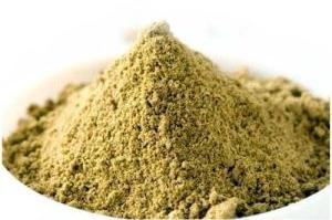 Pure Coriander Powder