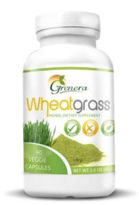 Wheatgrass (Triticum Aestivum)