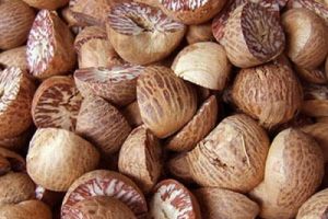 organic areca nuts