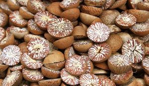 Supari Betel nuts