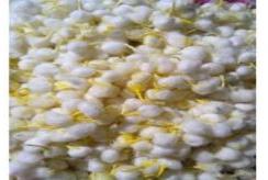 YELLOW COTTON WICKS