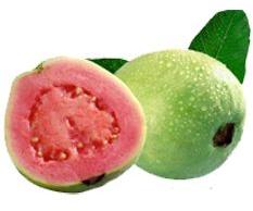 Fresh Guava