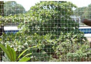 White Bird Protection Net