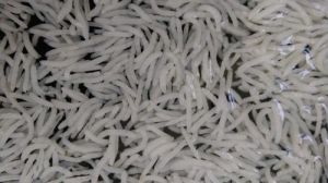 Rice Basmati,Non-Basmati,IR 64 Parboiled 5% broken