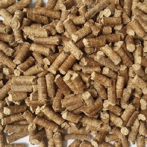 Soya Bean Meal animal feed