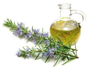 Rosemary Oil