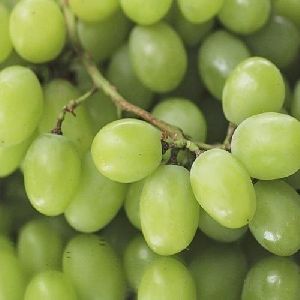 Organic Grapes