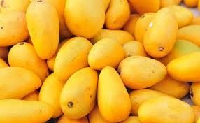 Organic Mango