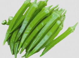 Organic Okra