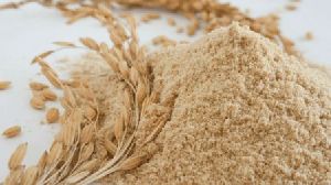 Rice Husk Powder