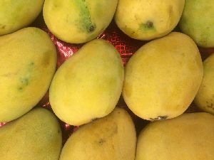 Langra Mango