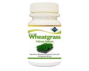 Shivalik Wheatgrass Capsules