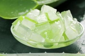 Organic Aloe Vera Pulp