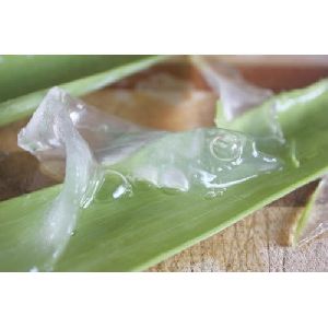 Pharma Grade Aloe Vera Pulp