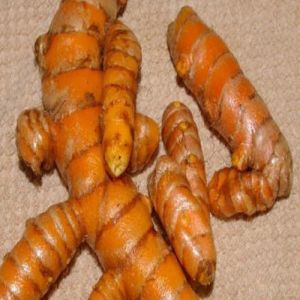 Fresh Turmeric