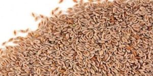 Psyllium Seeds