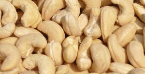 W450 Cashew Kernels