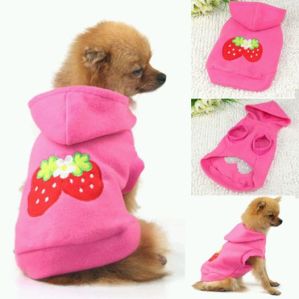 Dog Clothes