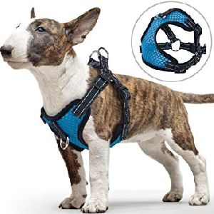 Dog Harness